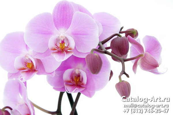 картинки для фотопечати на потолках, идеи, фото, образцы - Потолки с фотопечатью - Розовые орхидеи 19